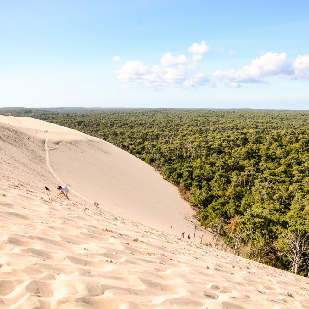 la dune du pilat