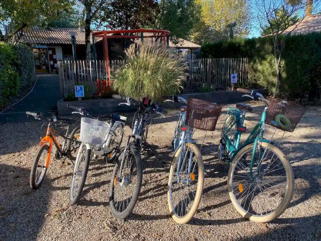 Bike rental Camping Les Ecureuils Bassin Arcachon