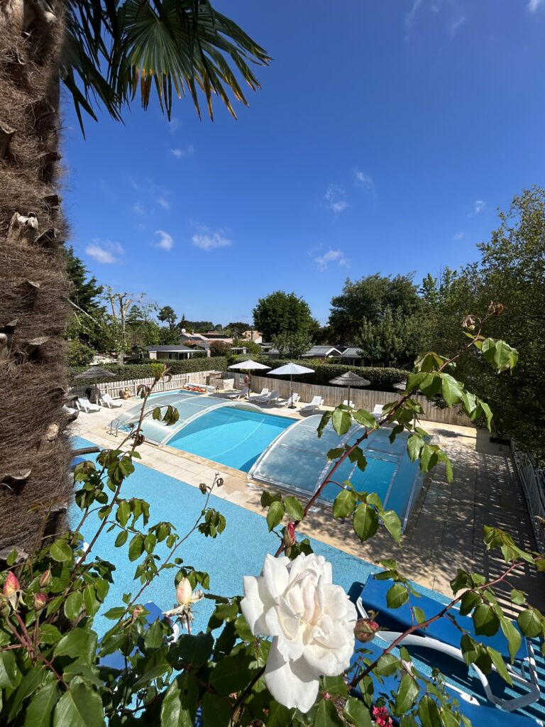 Swimming pool photo with dome